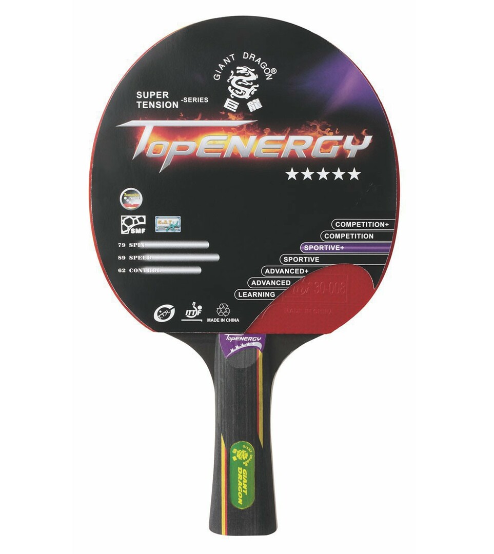 Dragon racket: prices from 500 ₽ buy inexpensively in the online store