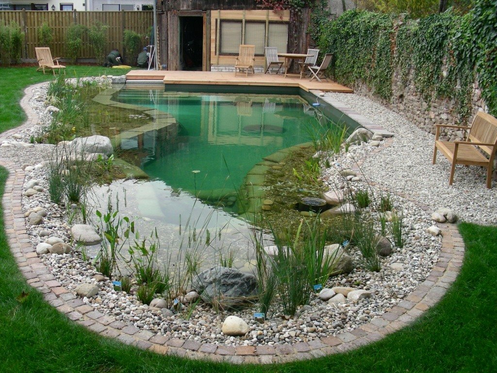 Decorative pond with swimming area
