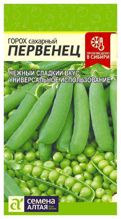 Semillas de guisantes Azúcar primogénito, 10 g de semillas de Altai