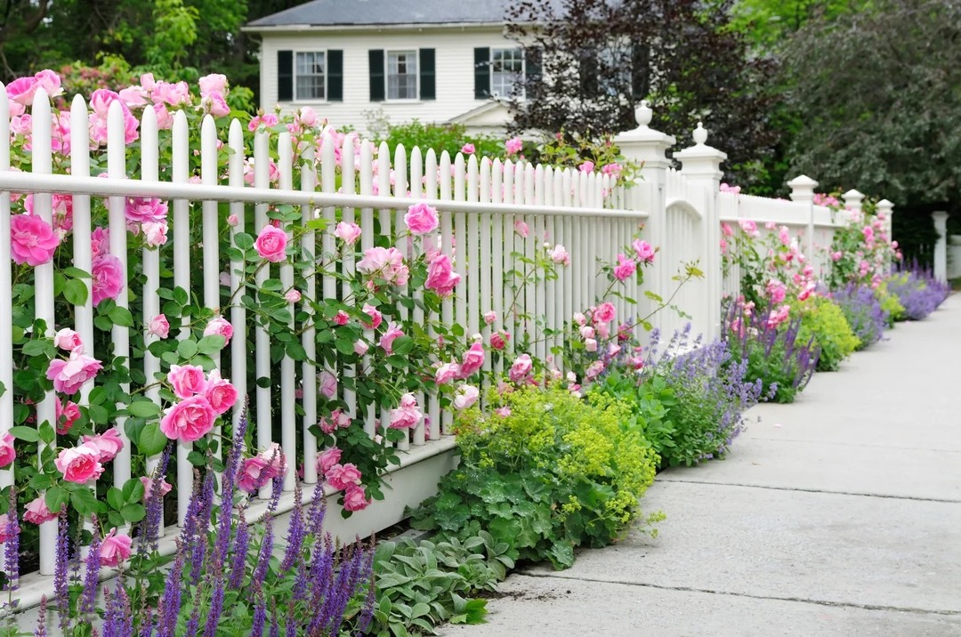 flores ao longo da cerca