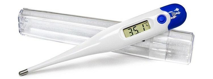 Ein Kunststoffgehäuse schützt das Thermometer vor Beschädigungen