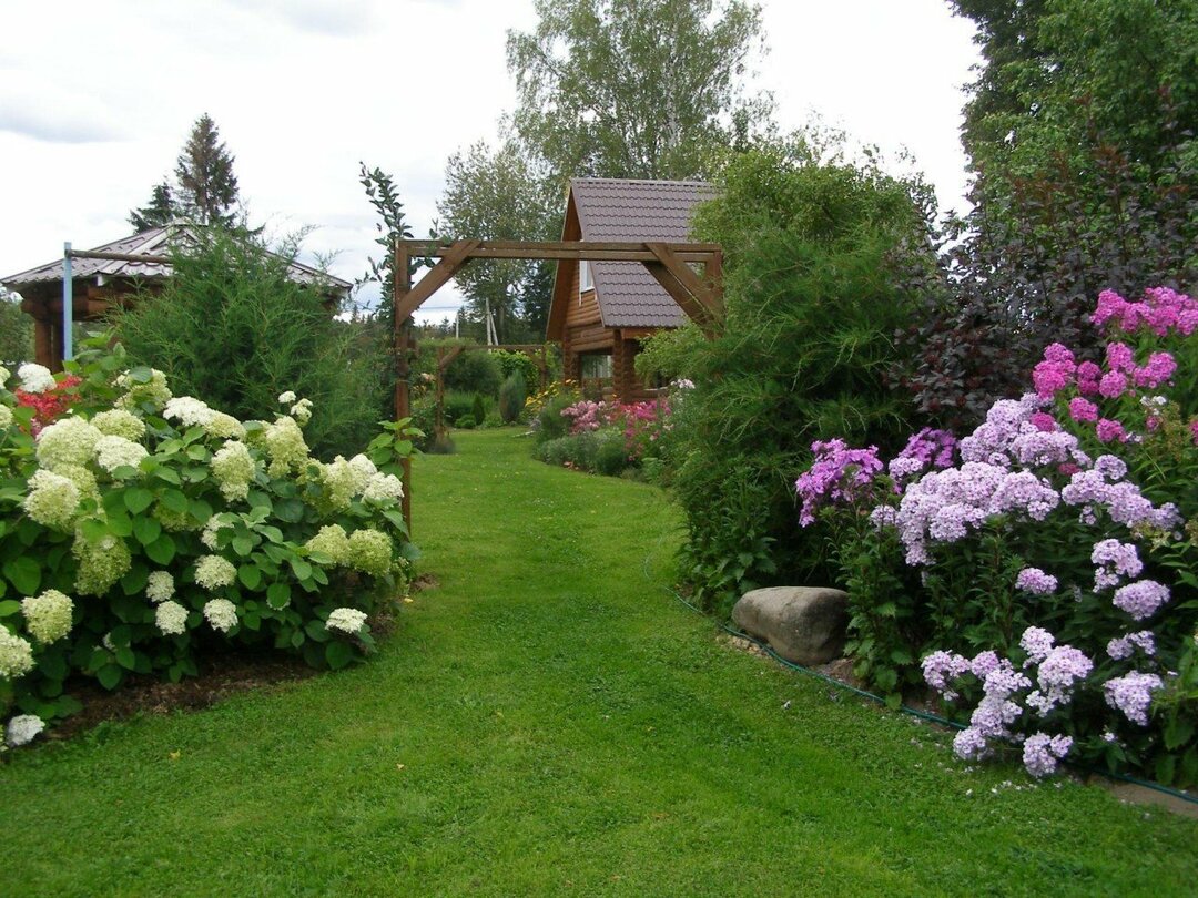 Mixborder with hydrangea at their summer cottage