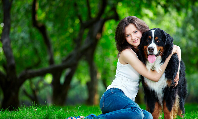 De beste vitamines voor honden op klantrecensies