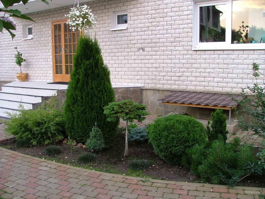 En liten rabatt med barrträd framför husets veranda