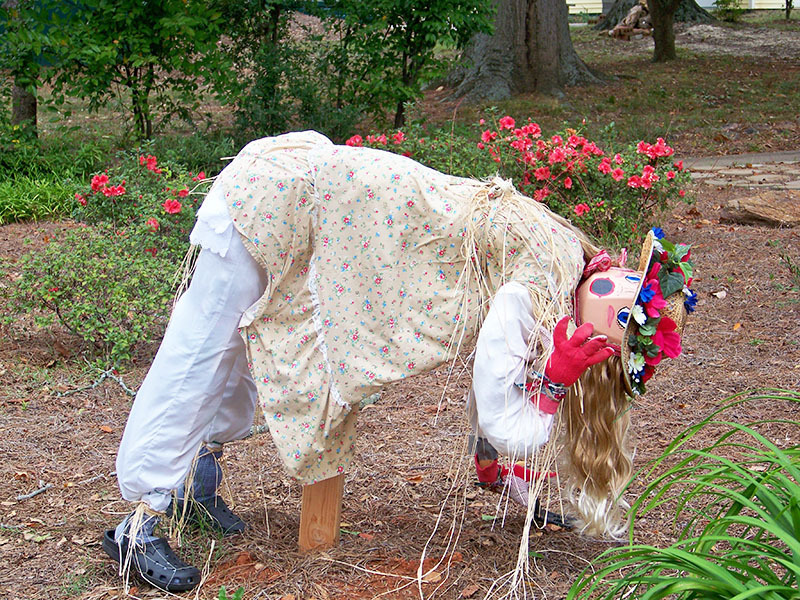If you still make a scarecrow to protect your beds, it makes sense to choose a traditional pose for a living person in the garden.