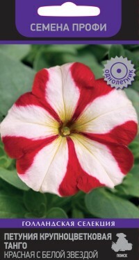 A Petunia nagy virágú magjai. Tango Red fehér csillaggal (15 db)