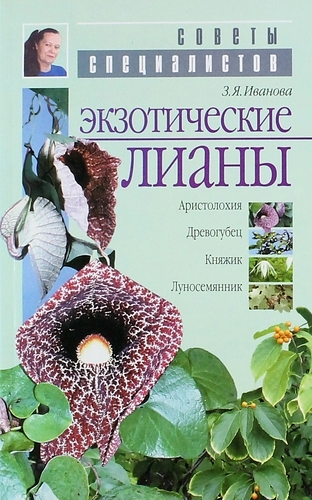 Exotic lianas (aristolochia, woodworm, prince, moonseed)