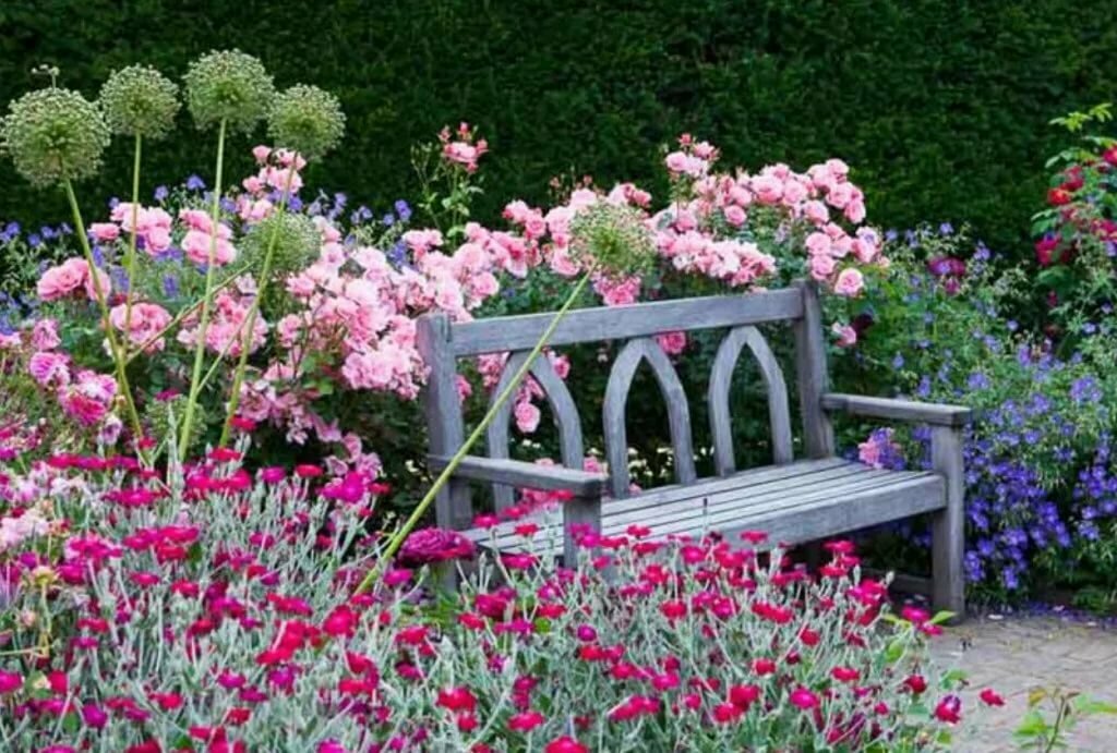 Arco ornamental y pelargonium junto al banco de jardín.