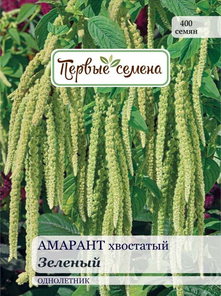 Semená kvetov Prvé semená Amarant chvostový zelený, 0,3 g