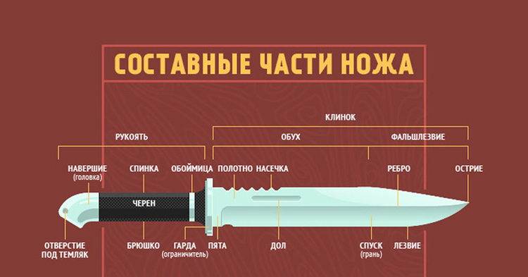 Struktura nozhaFOTO: ikarp.ru