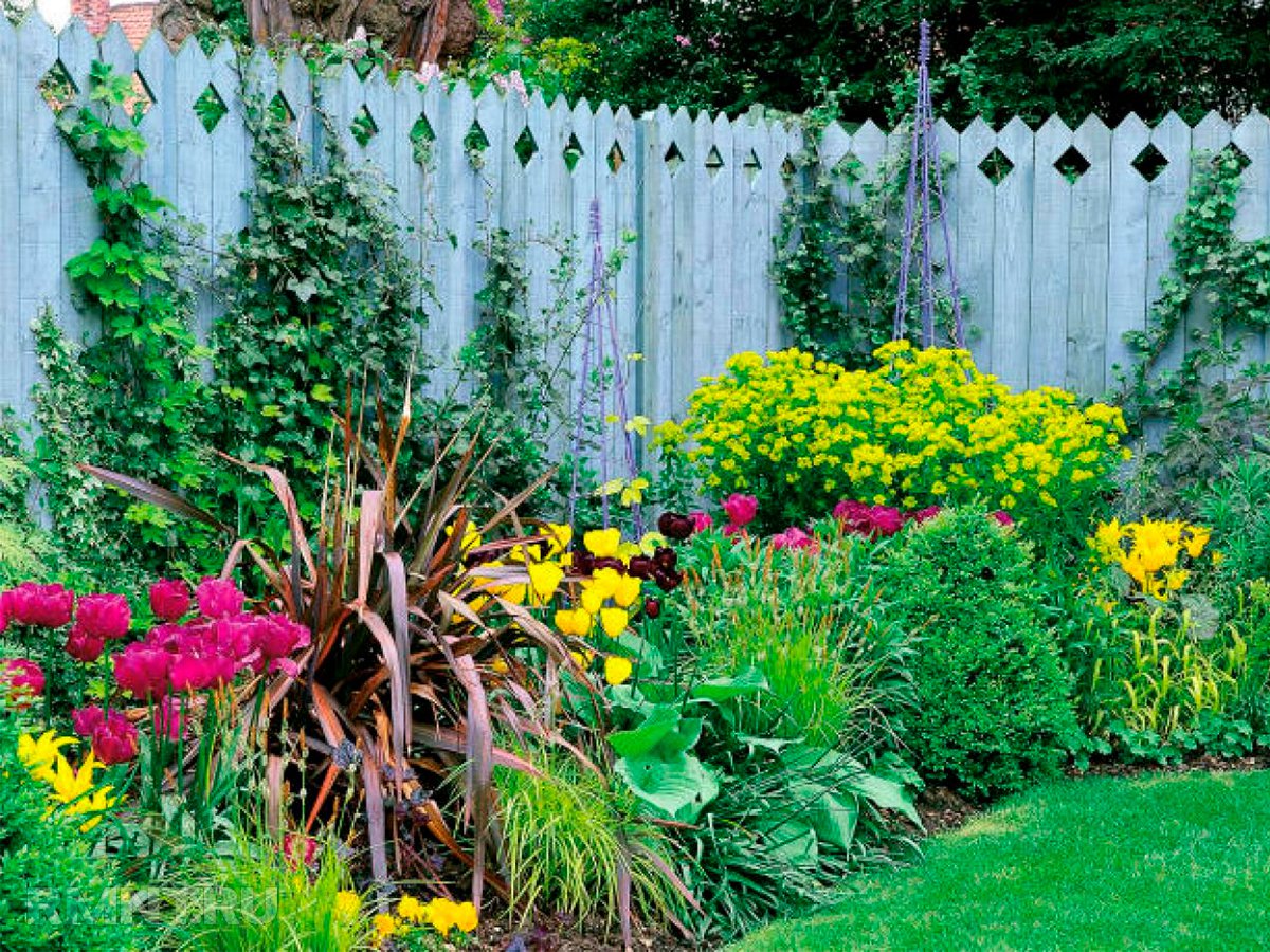 What to plant along the fence: trees and shrubs in landscape design
