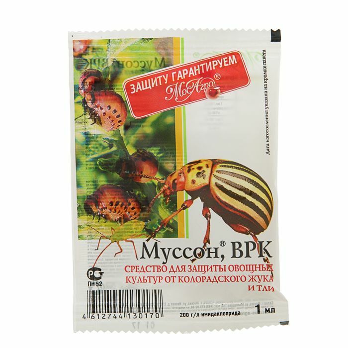 Colorado patates böceği ilacı Antizhuk (Muson), bir torbada ampul, 1 ml
