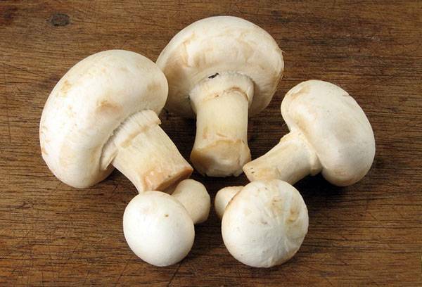 Como congelar cogumelos frescos em casa?