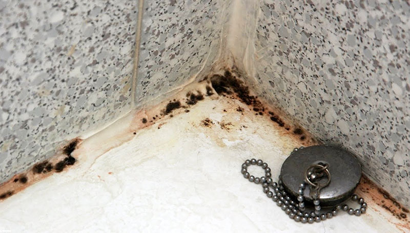In een appartement verschijnt schimmel meestal in de badkamer.