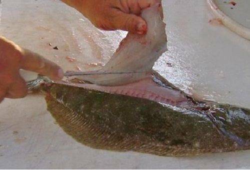 How to clean flounder correctly to separate fillets from skin and bones?