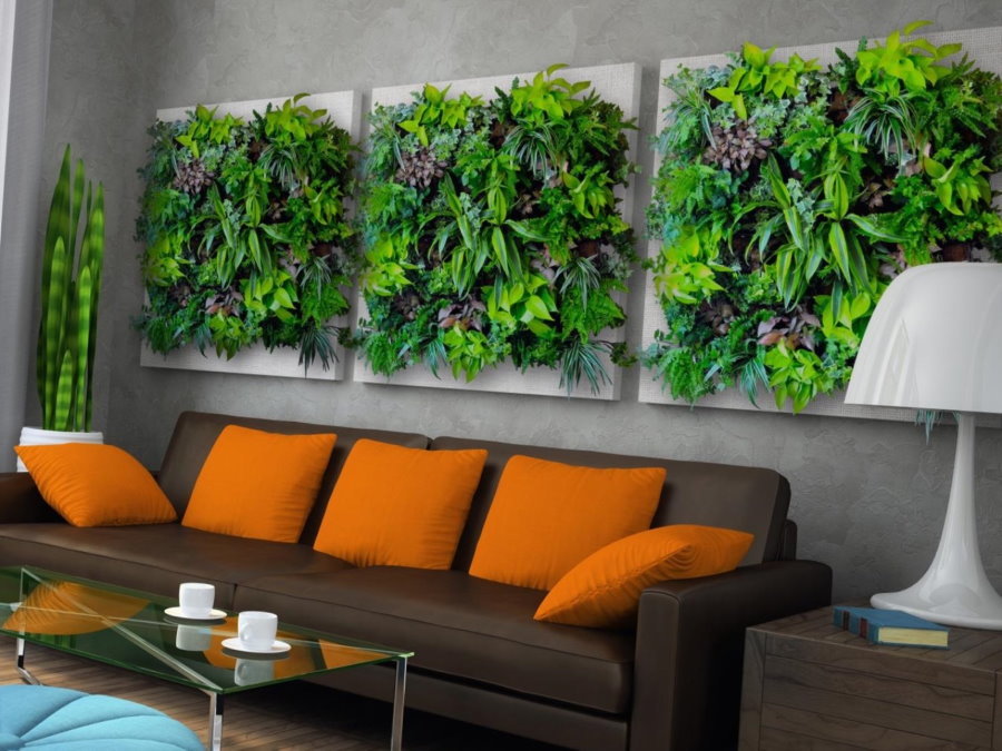 Décor avec des plantes vivantes au mur au dessus du canapé
