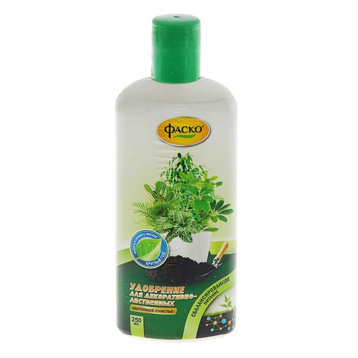 Minerální hnojivo tekuté Květinové štěstí v lahvích Okrasná listová, 250 ml