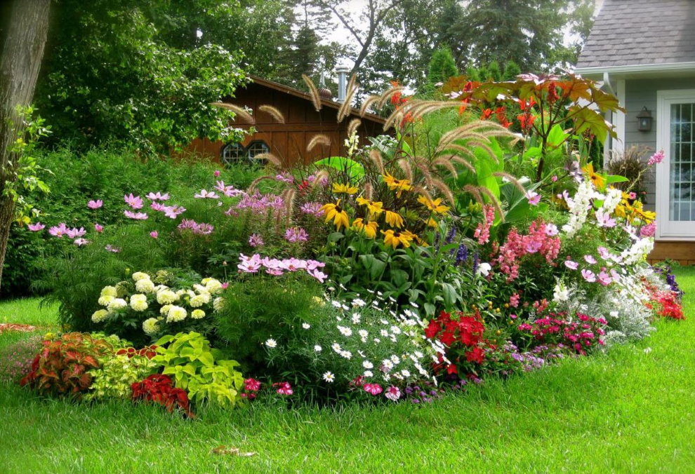 Flowering perennials in the flower bed landscape garden