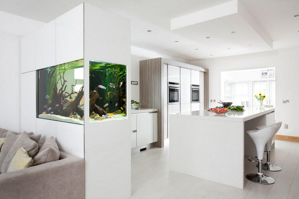 Aquarium-partition in the white room