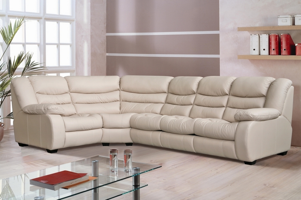 sofa in the living room eco-leather