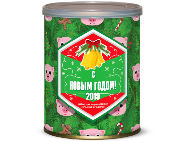 Pianta BontiLand Pig - simbolo dell'anno 2019 Abete rosso 411791