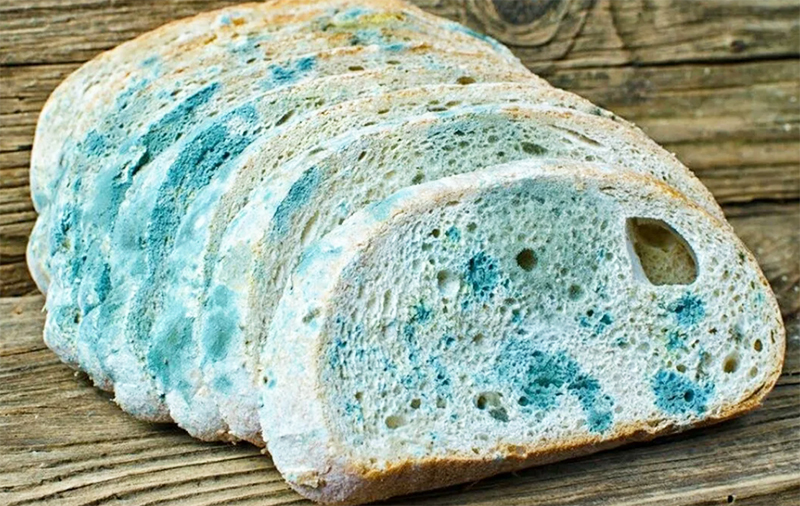 Mold loves bread very much, so it should never be left in the cupboard. If you missed the moment and the bread “bloomed”, it is worth carrying out preventive treatment of the entire cabinet