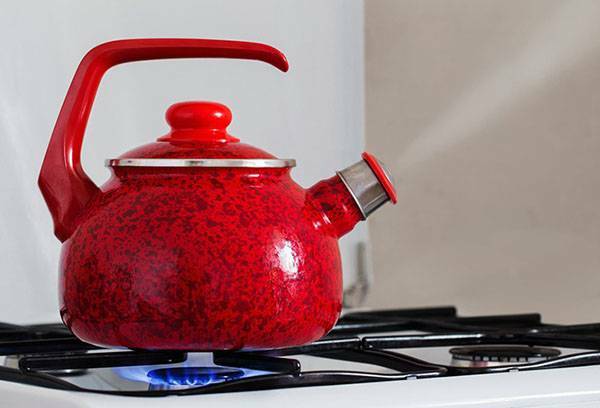 Čajnik za plinski štednjak: prednosti i mane različitih modela