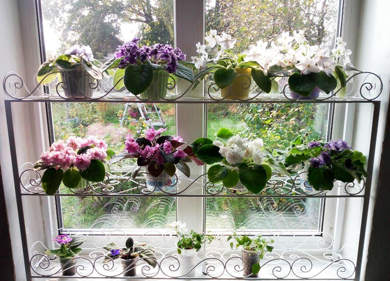 Domáci skleník: ako si vyrobiť stojany na kvety sami