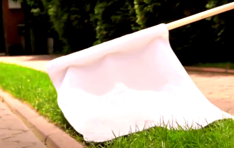 Bind een witte doek aan een stok en laat deze over het gras in het gebied lopen. De tang blijft direct aan het materiaal haken en zo zie je dat hij in je tuin zit.