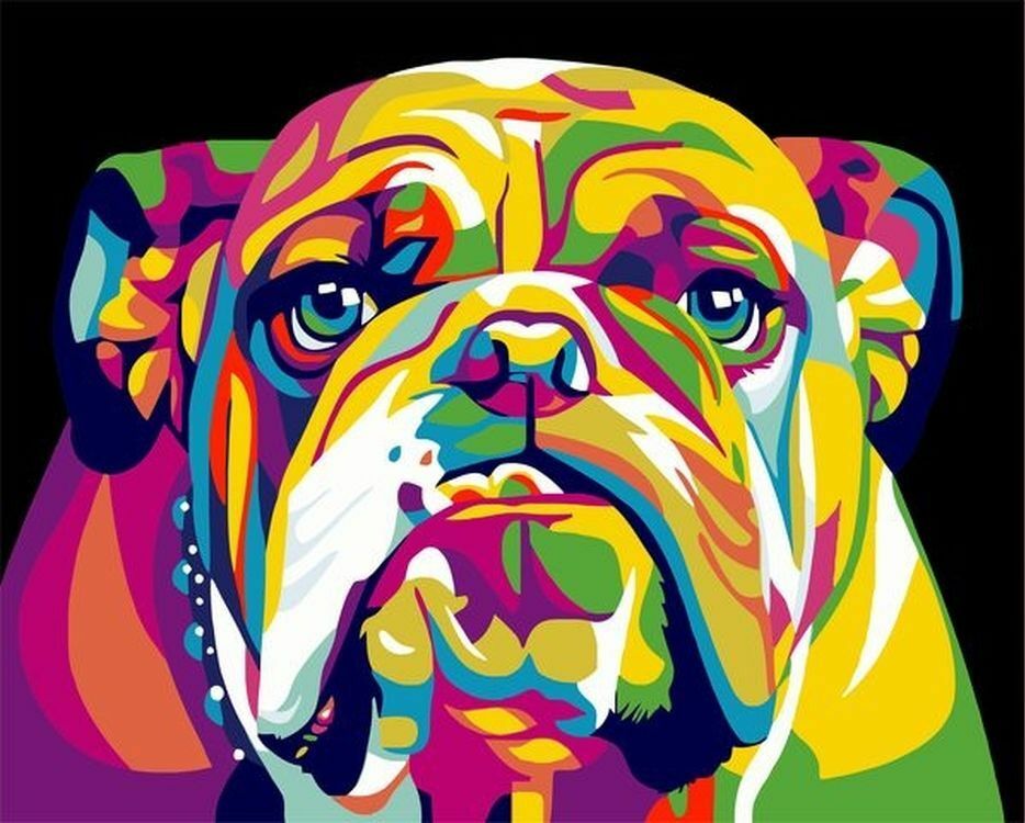 Peinture par numéro " Rainbow Bulldog"
