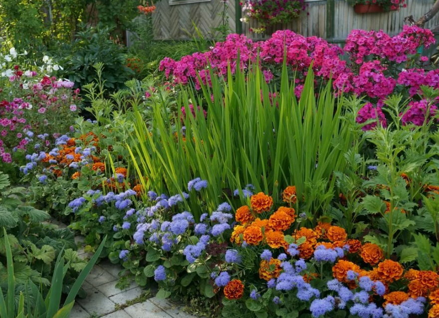 Beautiful flower bed at their summer cottage