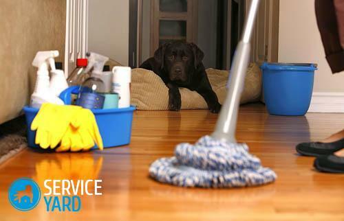 Nettoyage de la maison - conseils