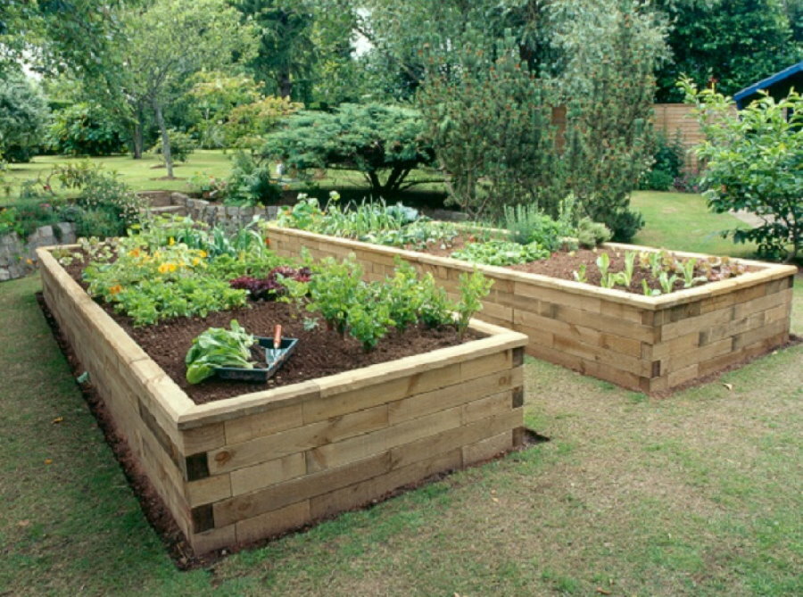 Ideer til en hage og en grønnsakshage: interessante eksempler på landskapsdesign for en sommerbolig