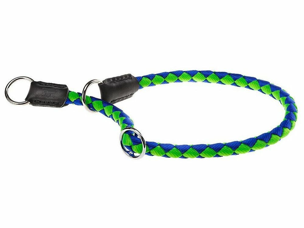 Collare Ferplast Twist CS per cani (35 x 1,2 cm, Verde con blu)