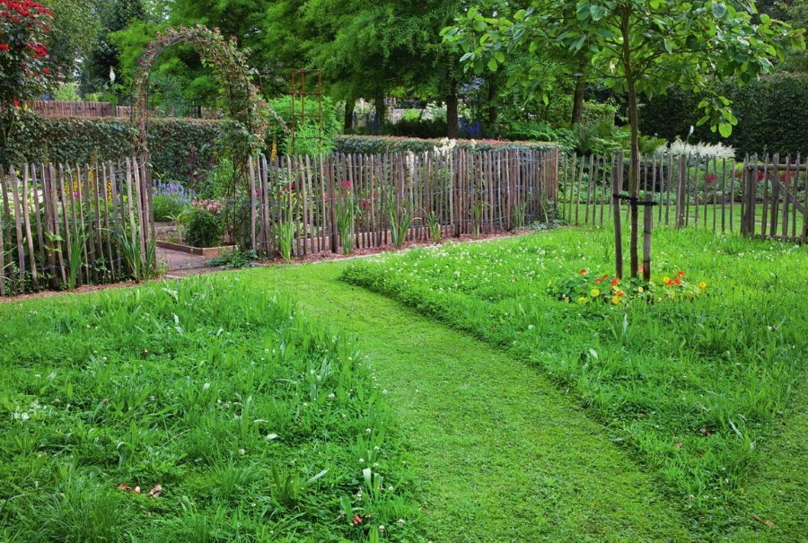 Garden plot with grass path
