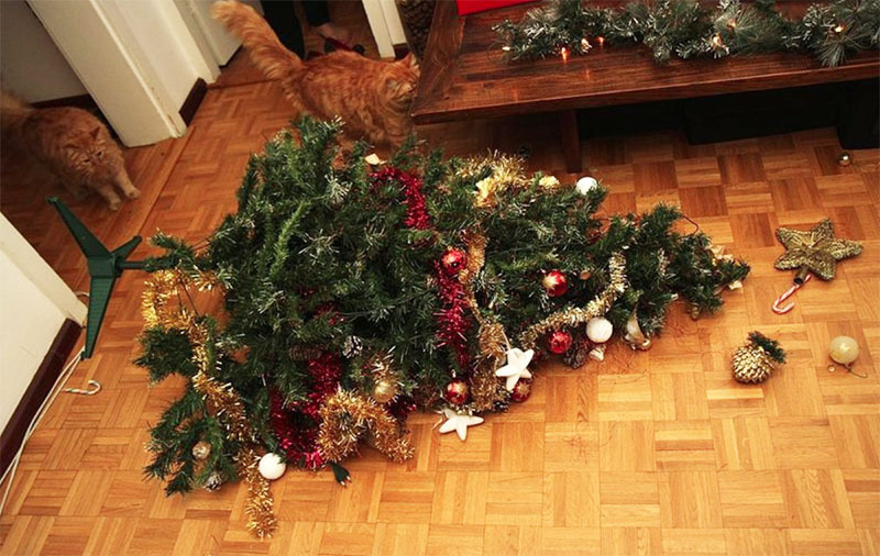 תקן את עץ חג המולד לא רק על הדוכן, אלא גם קשור אותו למספר תומכים אמינים יותר