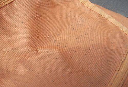 How to remove mold from clothes and prevent its reappearance?