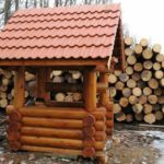 Well with a log house