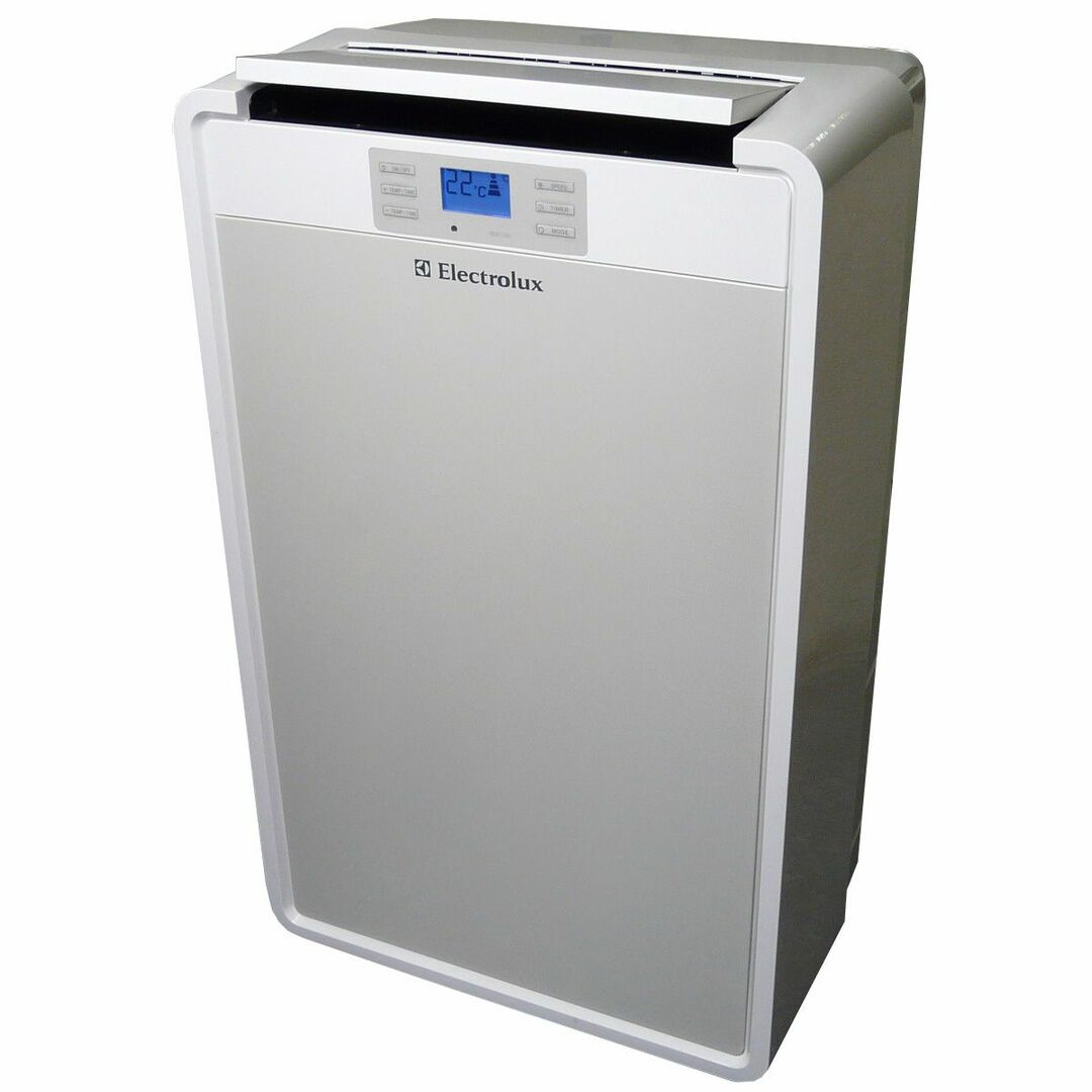 Air conditioner Electrolux EACM 10DR: photo