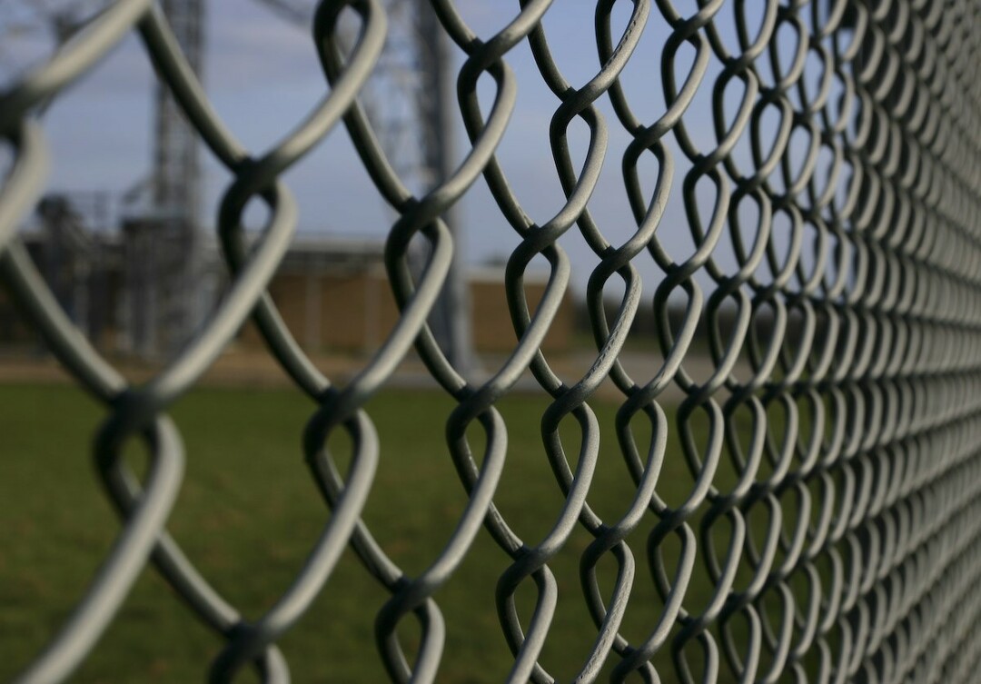 galvanized mesh