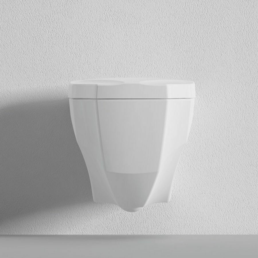 Wall-hung toilet with bidet function with micro-lift seat Bien Fracture FRKA056GMVP1W3000