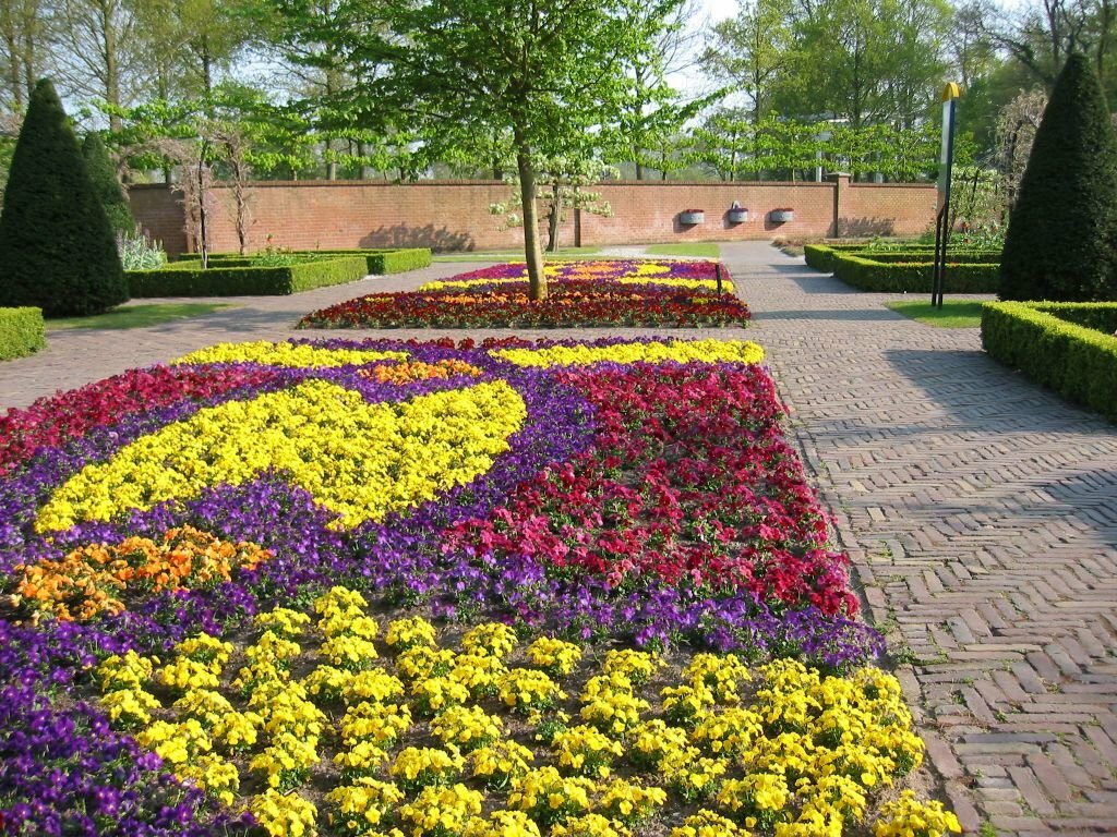 Foto av et teppe blomsterbed med årlige blomster