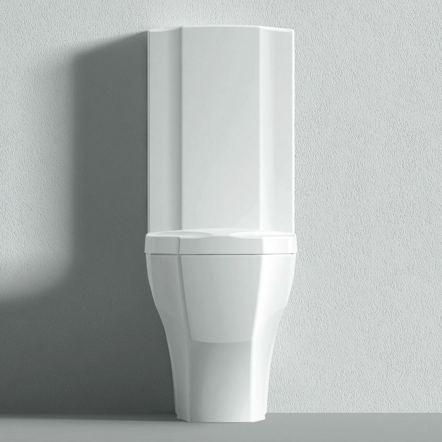 Toilet-kompakt med bidetfunktion med mikro-lift sæde Bien Fracture FRKK05601VP1W3000TK