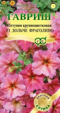 Magok. Petunia grandiflorum Dolce Fragolino F1 (10 granulátum kémcsőben)