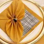 folding napkins for serving ideas design