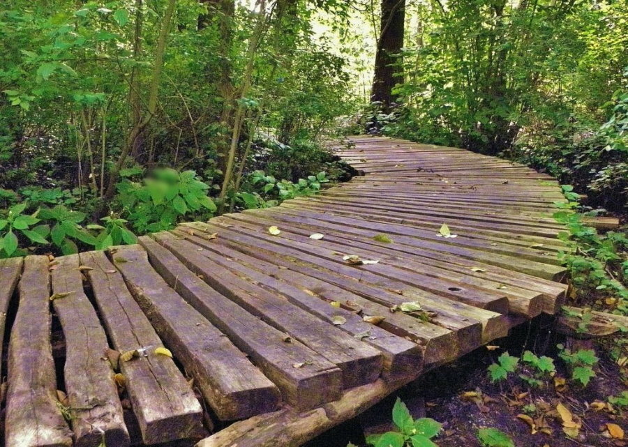 Gelaagde houten loopbrug gemaakt van dikke planken