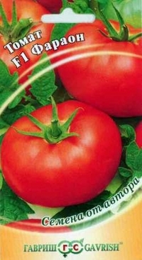Frø. Tall tomat Farao F1 (12 stykker)