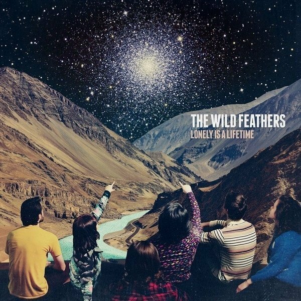 Vinyl Wild Feathers, The, Lonely Is A Lifetime