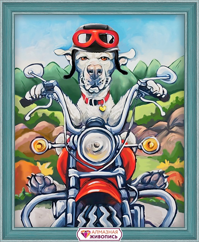 Resim yapmak için ayarla Elmas boyama sanatı. AZh.1547 Motorcu köpek 24x30 cm