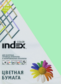 Farbpapier Index Color, 80 g/m2, A4, hellgrün, 100 Blatt